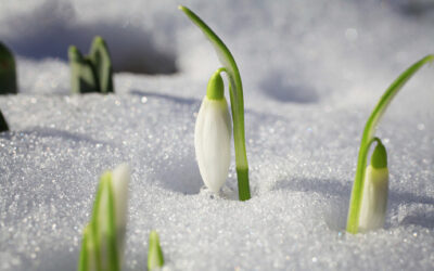 Building A Resilient You…